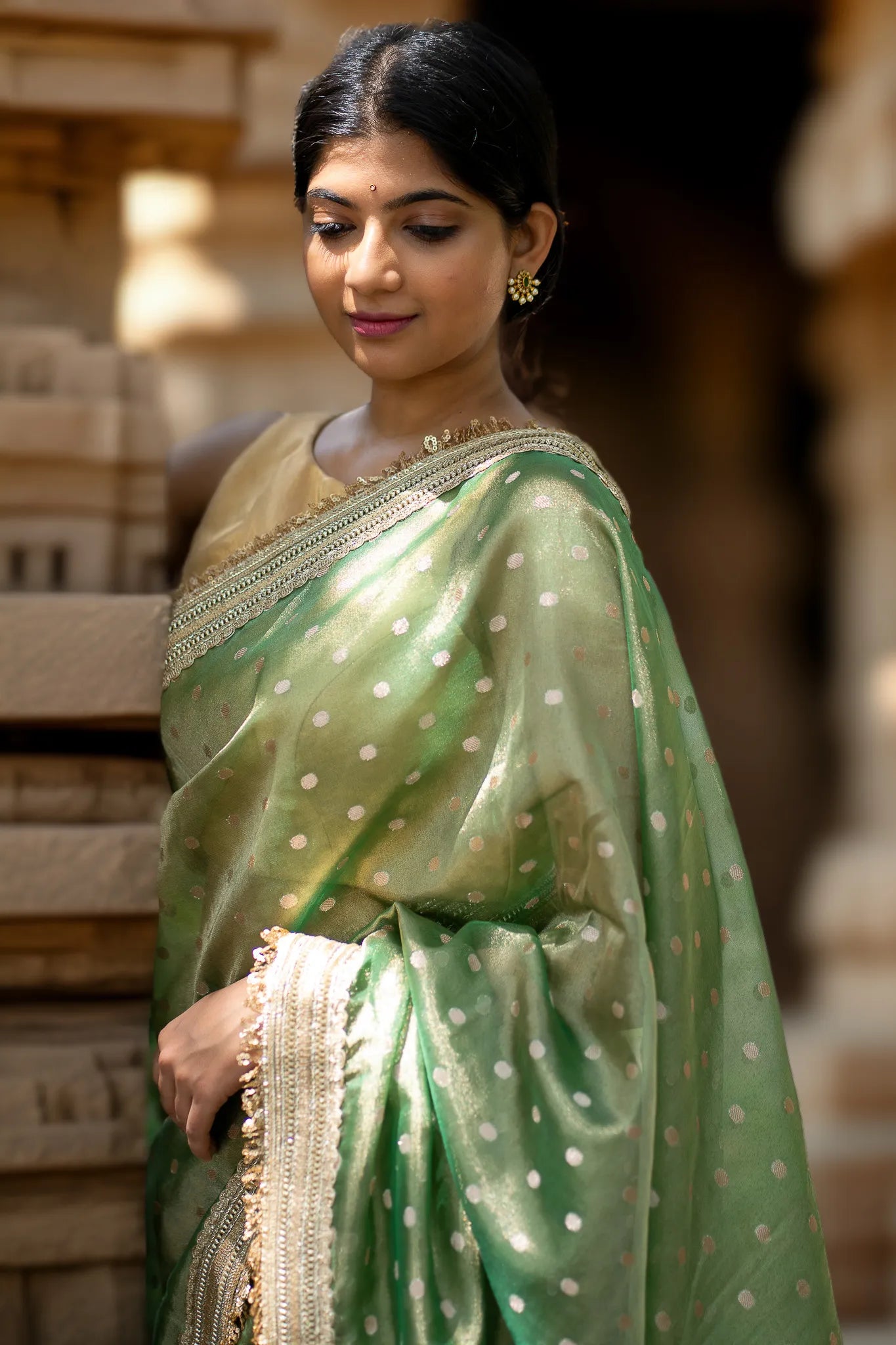 Back to bush Tissue Banarasi Saree