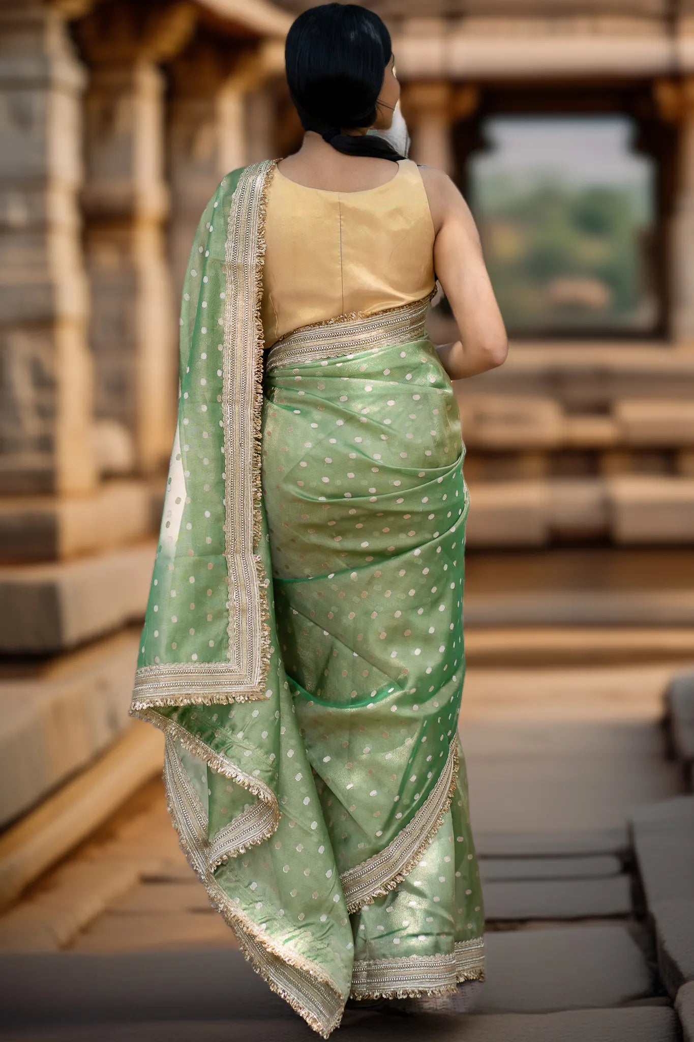 Back to bush Tissue Banarasi Saree