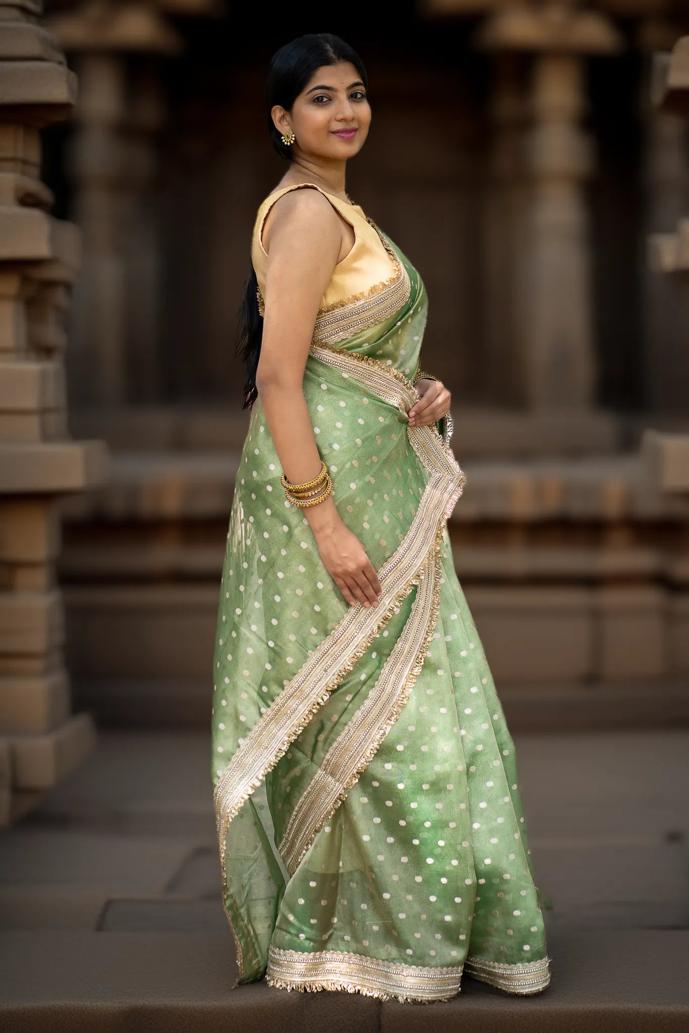 Back to bush Tissue Banarasi Saree