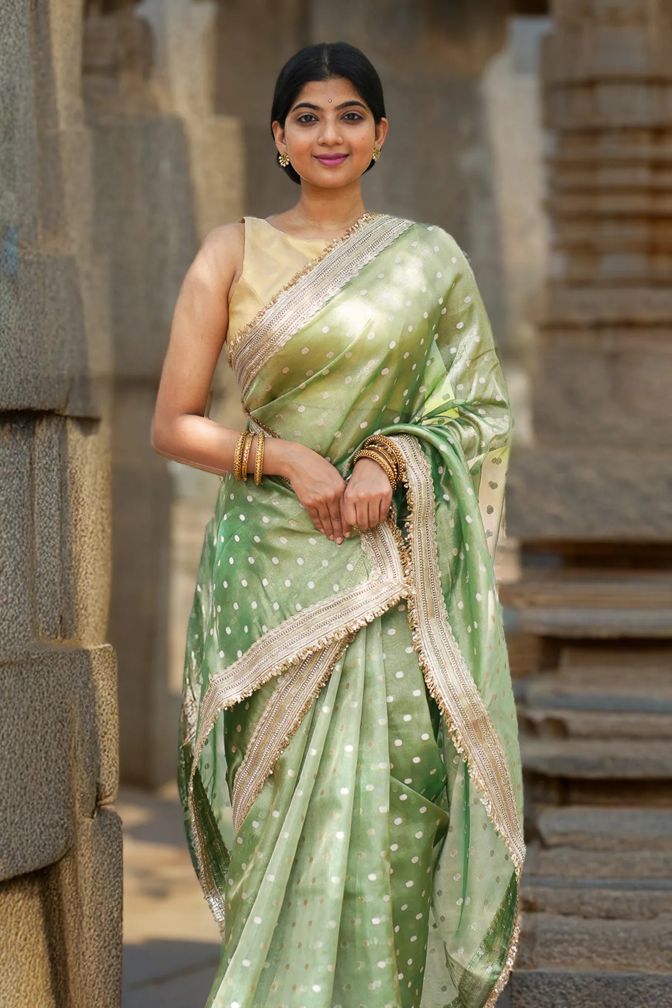 Back to bush Tissue Banarasi Saree