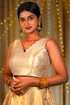 Warm Vanilla V-neck Banarasi Blouse