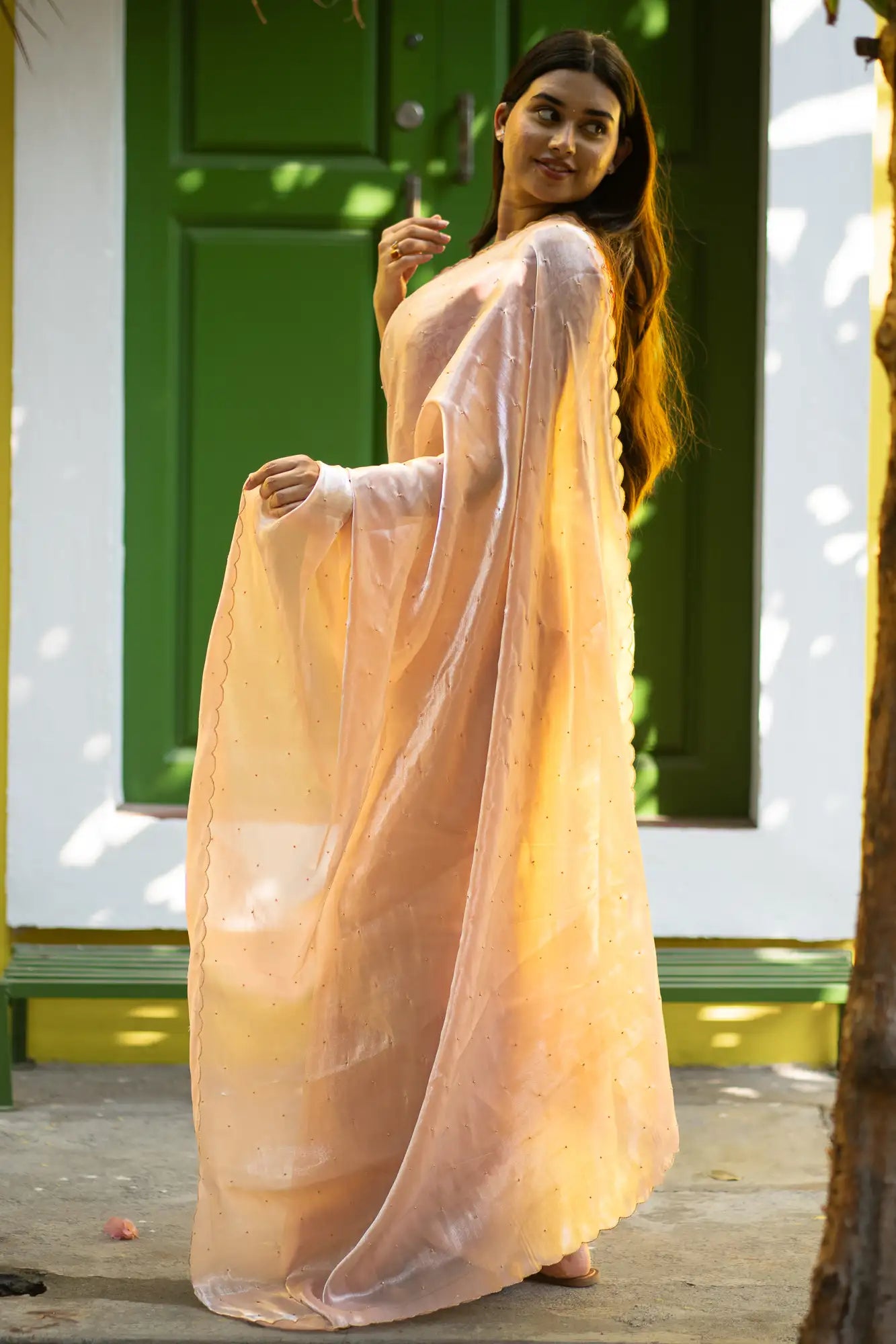 Blush-Beige-Glazy-Organza-Saree-I-Love-Sarees