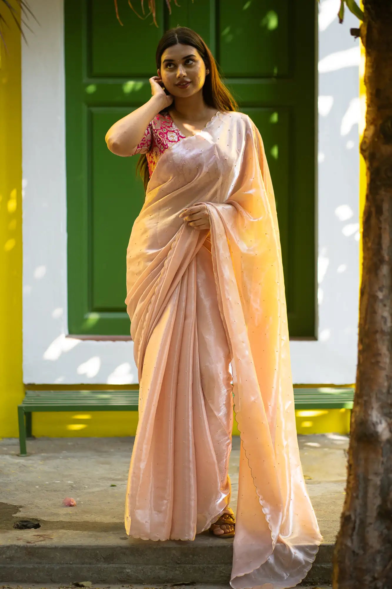 Blush-Beige-Glazy-Organza-Saree-I-Love-Sarees