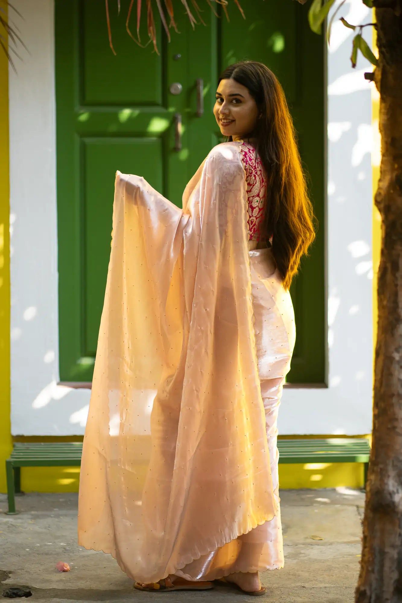Blush-Beige-Glazy-Organza-Saree-I-Love-Sarees