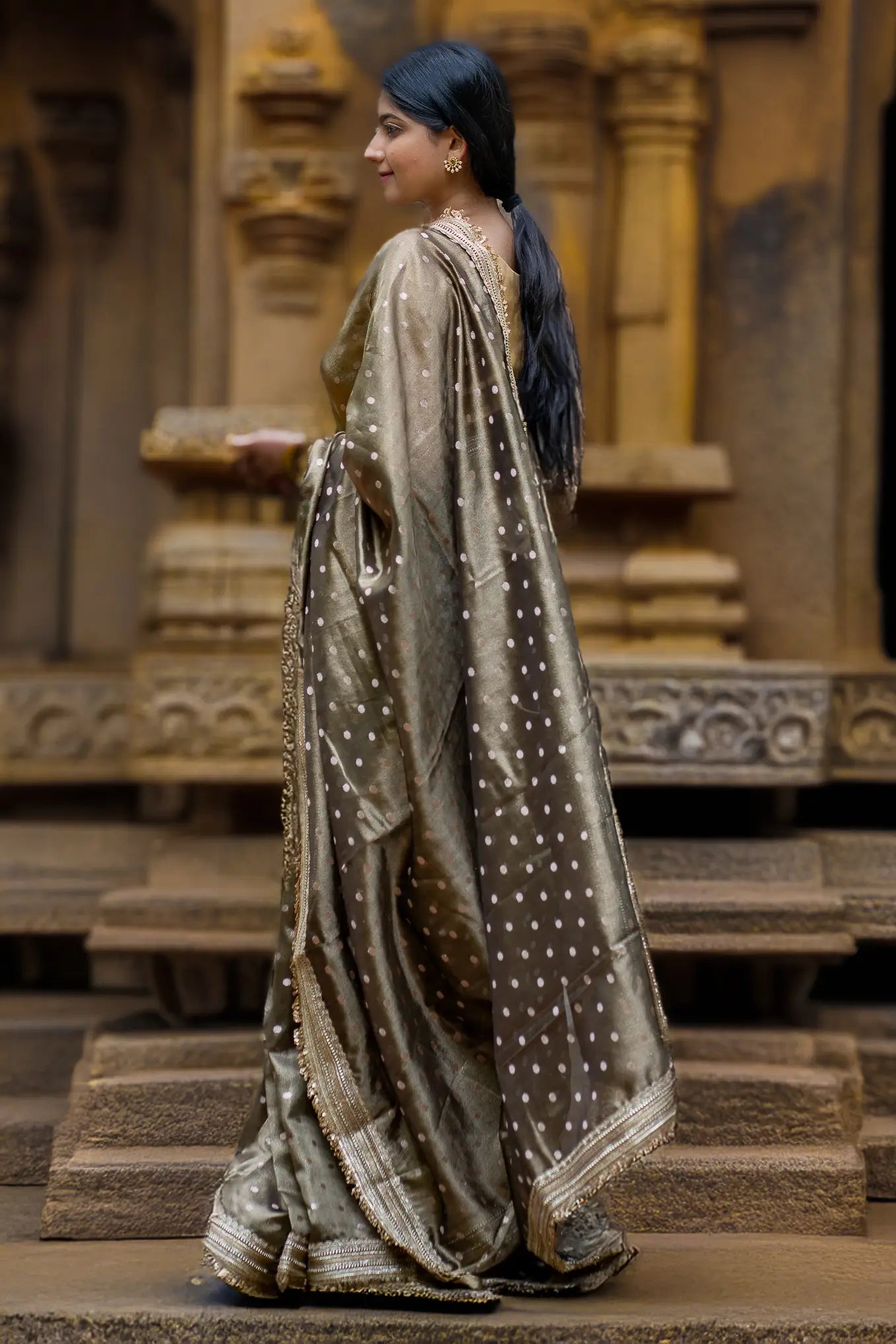 Into the Dawn Tissue Banarasi Saree