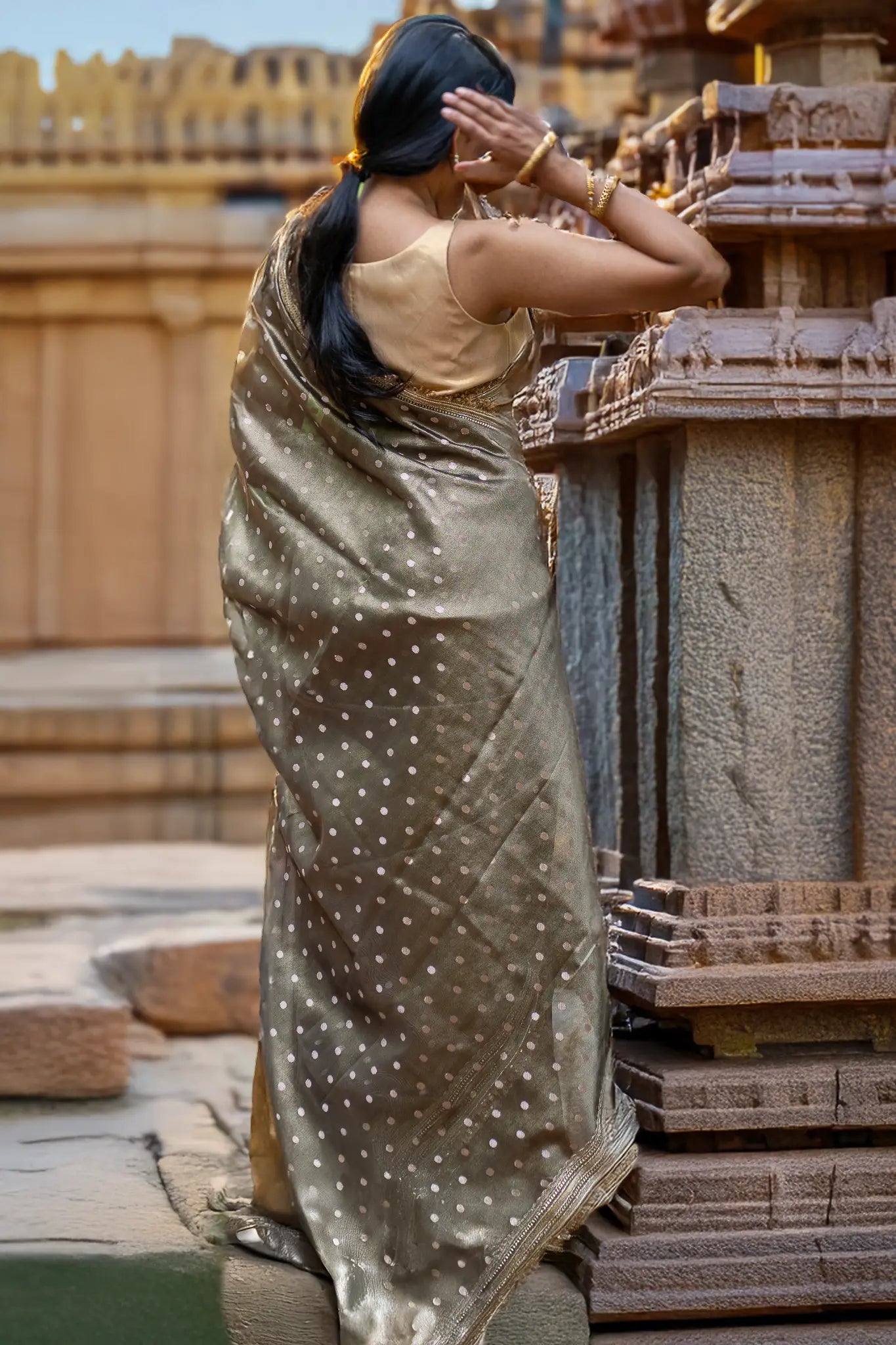 Into the Dawn Tissue Banarasi Saree