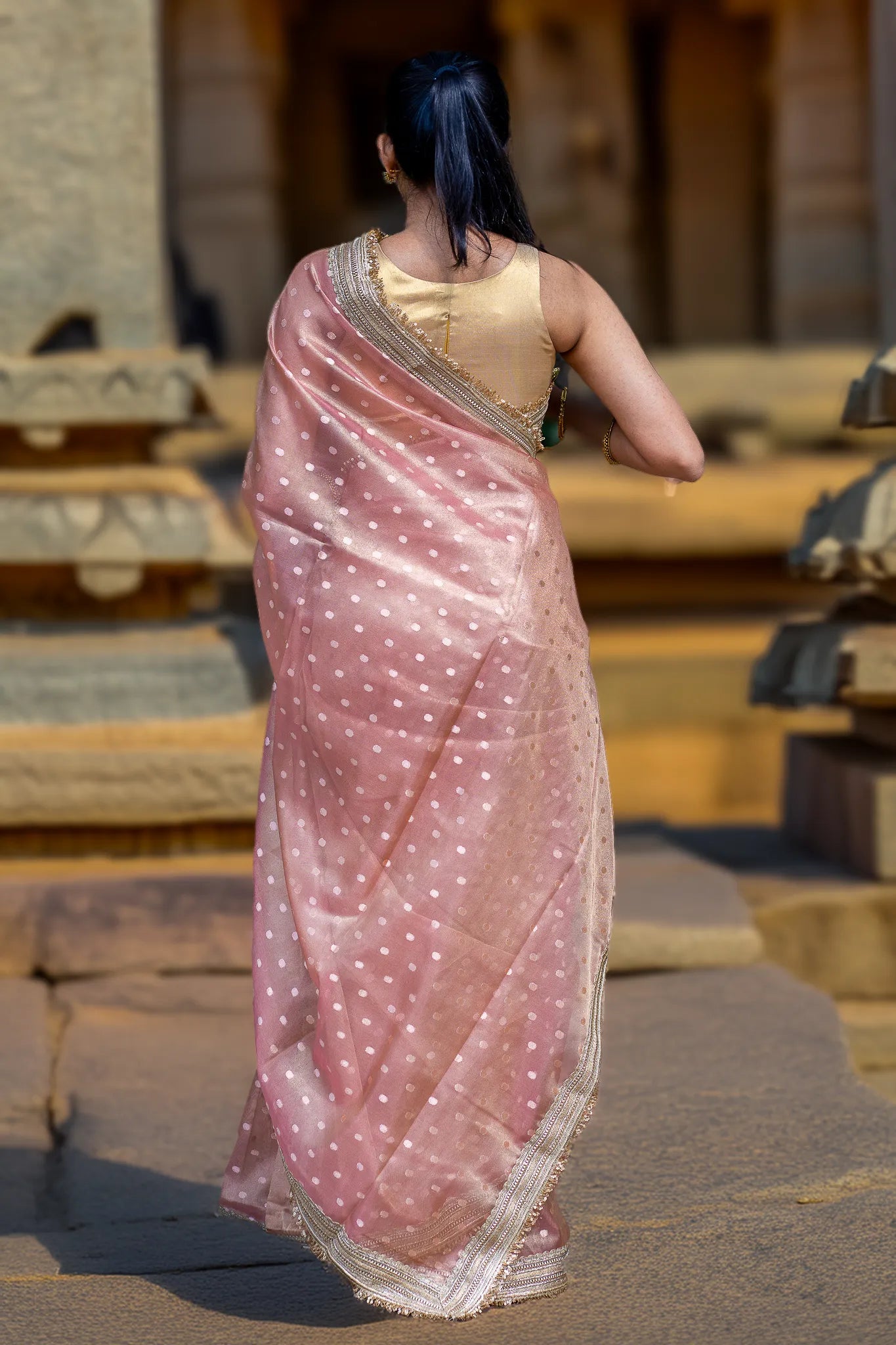Little Luna Tissue Banarasi Saree