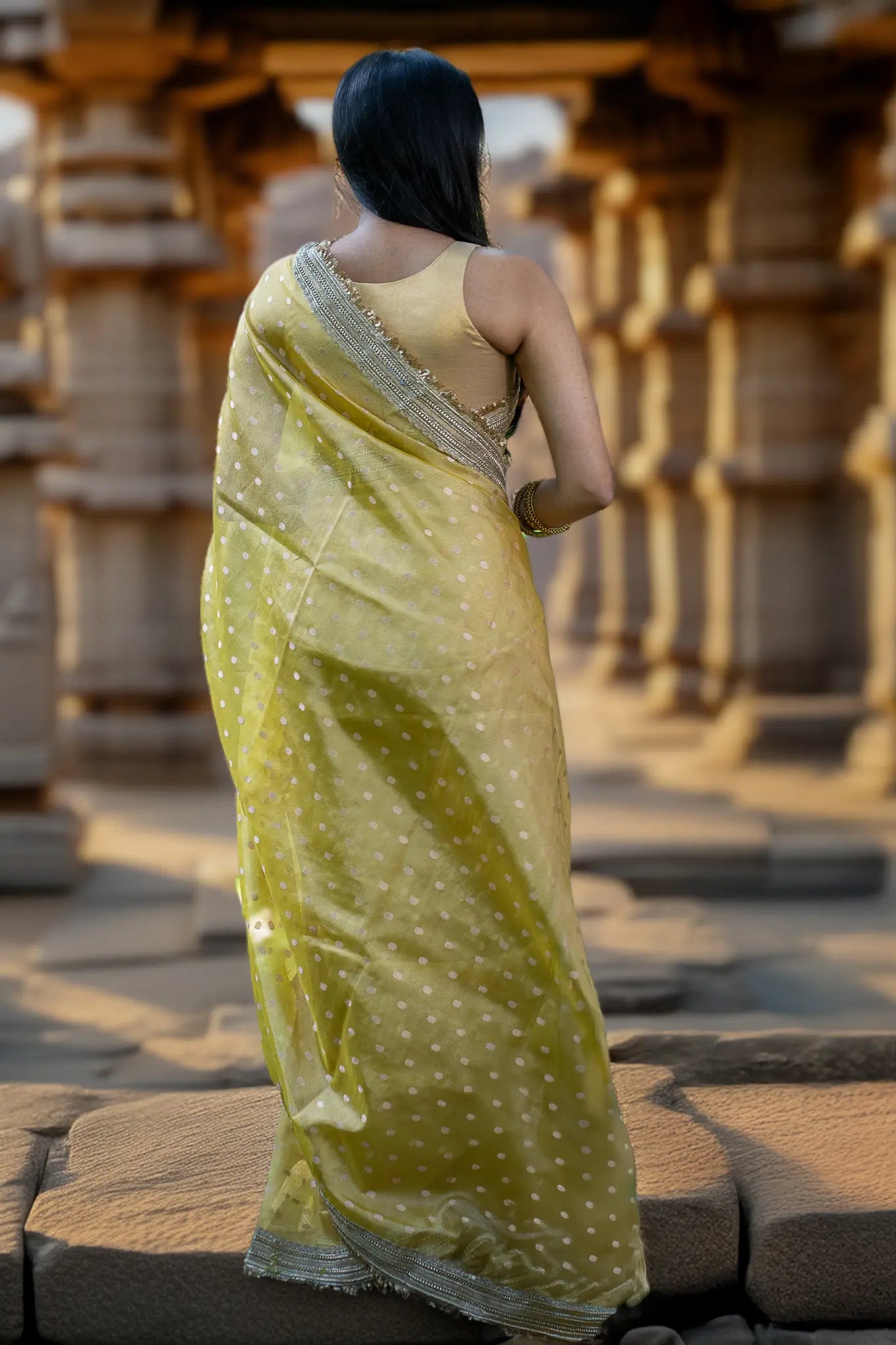 Sun Spot Tissue Banarasi Saree