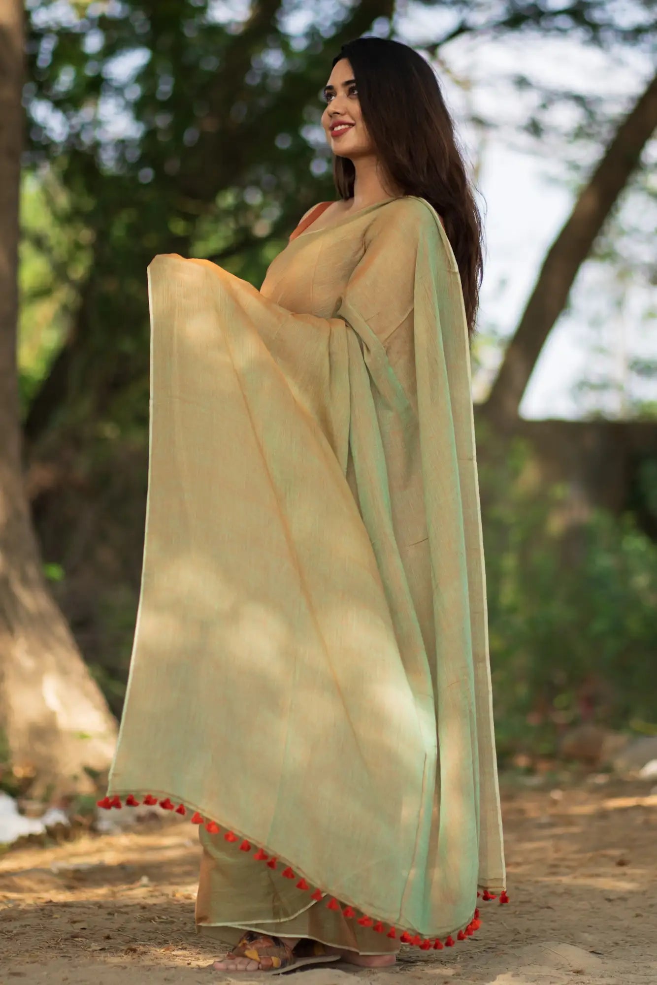 Morning Sun Brown Saree