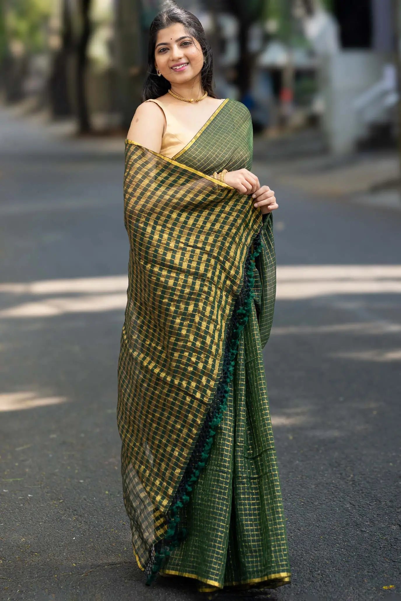 Meadow Walk Checks Cotton Saree