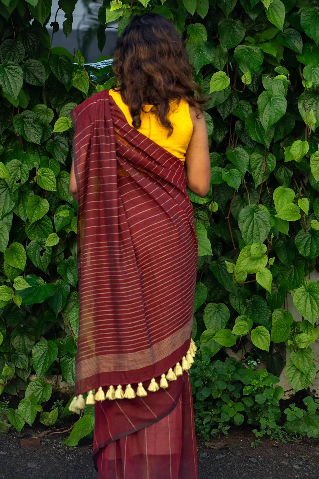 Dancing Ruby Khesh Cotton Saree